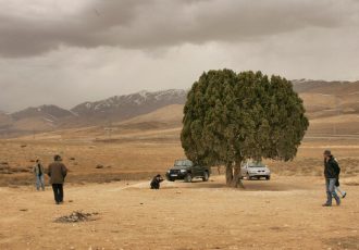 وعده‌ی ادامه دار ثبت درخت عباس کیارستمی